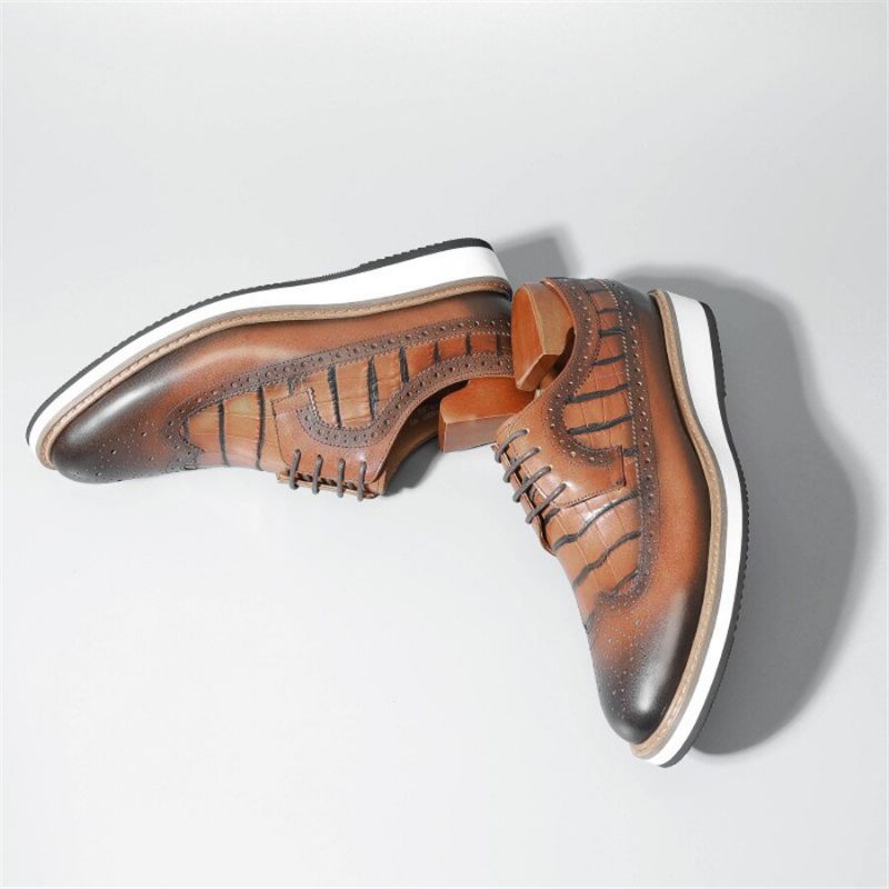 Sapatos Formais Masculinos Couro Vaca Designer Brogue Casuais - Café