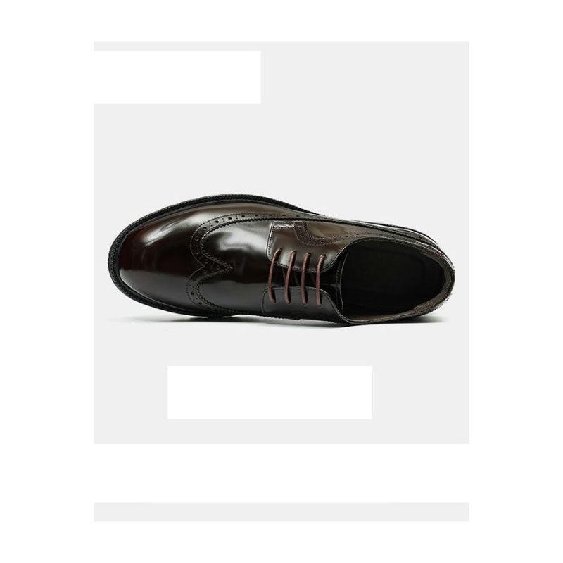 Sapatos Formais Masculinos Couro Vaca Oxford Brilhantes - Café