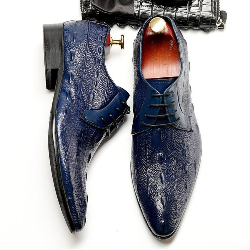 Sapatos Formais Masculinos Exóticos Com Cadarço Oxford - Azul
