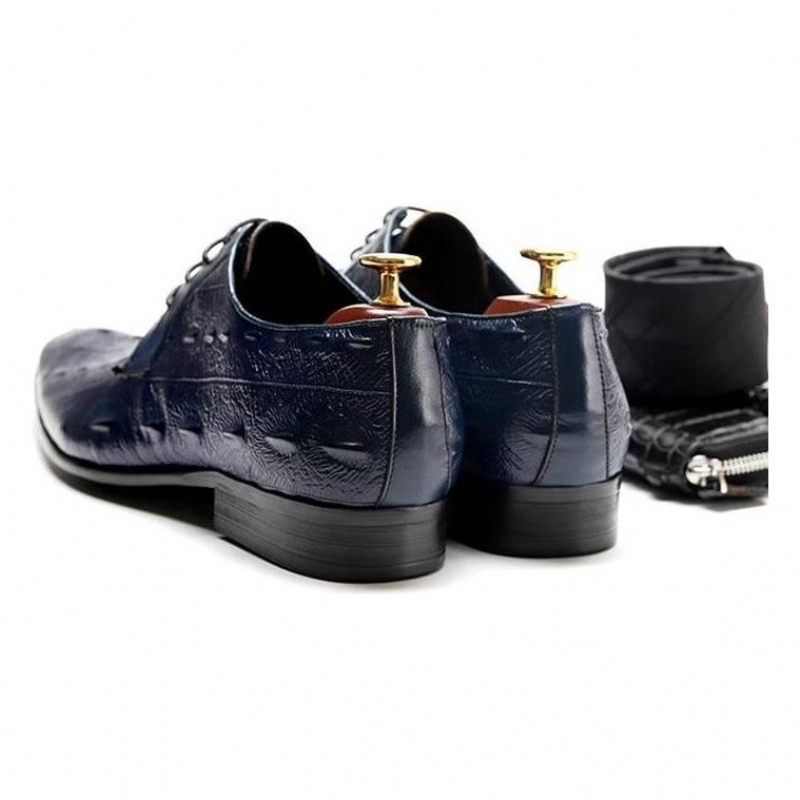 Sapatos Formais Masculinos Exóticos Com Cadarço Oxford - Azul