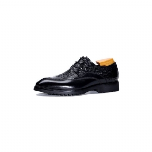 Sapatos Formais Masculinos Exuberantes Padrão Crocodilo Sociais Com Cadarço