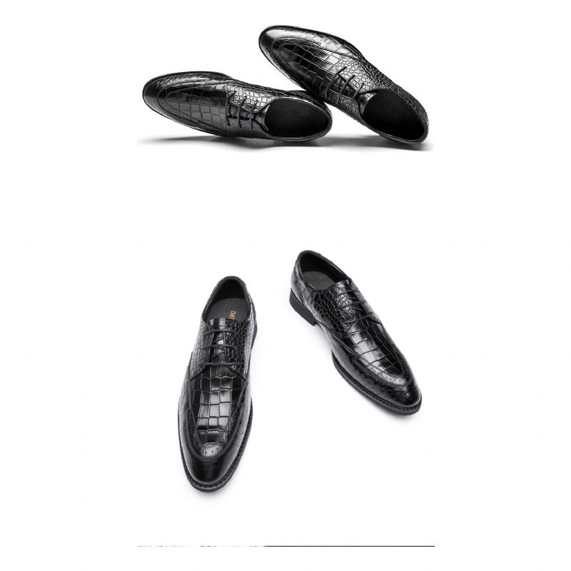 Sapatos Formais Masculinos Luxo Crocgloss Classic Brogue - Preto