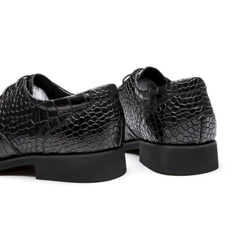 Sapatos Formais Masculinos Luxo Crocgloss Classic Brogue - Preto