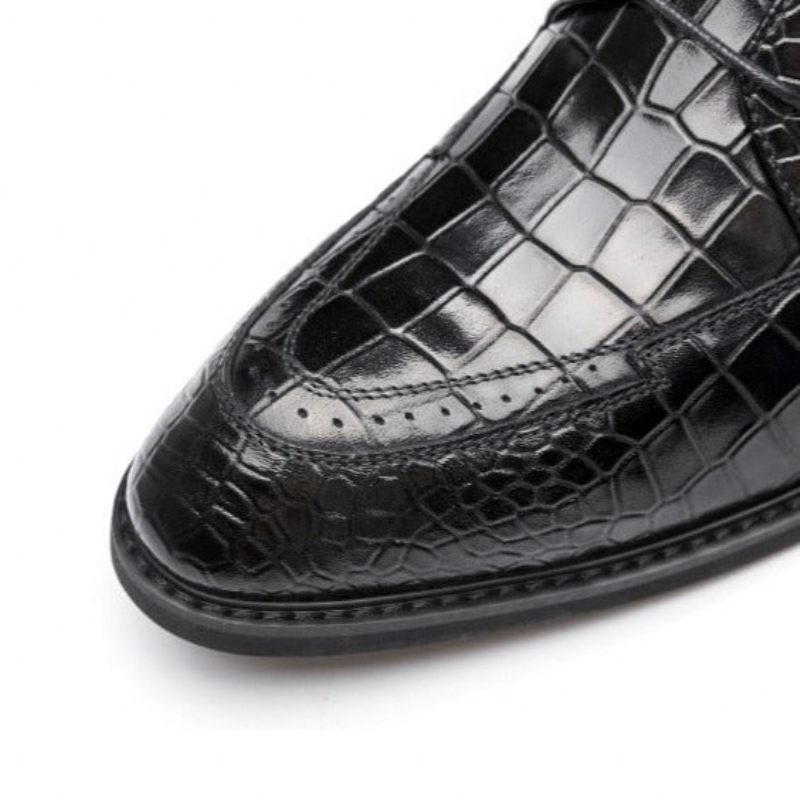 Sapatos Formais Masculinos Luxo Crocgloss Classic Brogue - Preto